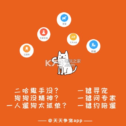 天天争宠 v1.1.5 app下载 截图