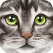 终极猫咪模拟器 v1.1 下载