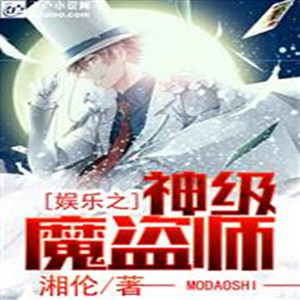 娱乐之神级魔盗师第八区下载