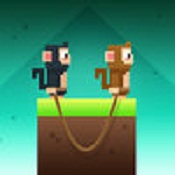 Monkey Ropes v1.12 安卓版下载