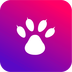 猫熊 v1.0.1 app下载