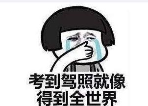 2017驾考新规实施表下载v1.0