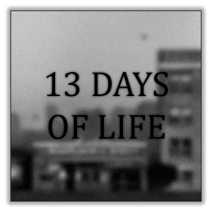 生命中的13天 v1.3 游戏下载