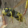 黄蜂巢模拟器3D v1.0 下载
