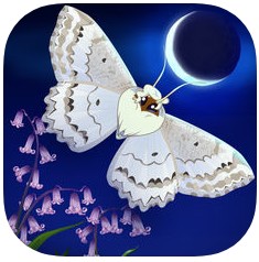 彩翼之星夜 v1.43 中文版下载