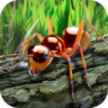 蚂蚁生存模拟器 v1.01 汉化破解版下载