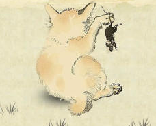 猫咪地盘之战手游下载预约