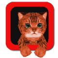小猫模拟器 v2.1.1 破解版下载