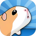 豚鼠和桥梁 v1.5.9 游戏下载