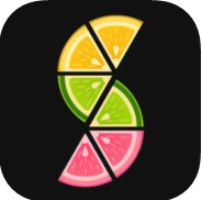 slices v2.1.3 下載