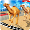 骆驼模拟器 v1.2 游戏下载