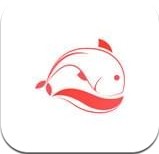 飞鱼商城 v1.1 app下载