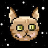 太空猫！银河鼠 v1.0 下载