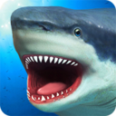 饥饿鲨鱼模拟器 v1.2 汉化版下载