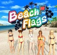 BeachFlags v1.3.8 游戏下载