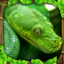 蟒蛇模拟器 v1.1 下载