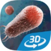 细菌互动教育3d v1.20 游戏下载