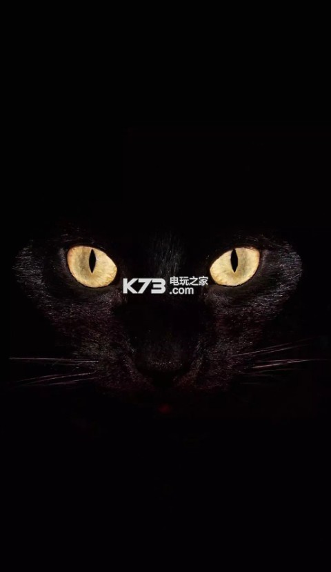 黑猫睁眼壁纸下载v10