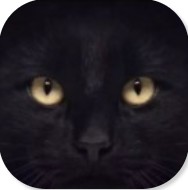 黑猫睁眼动态锁屏ios版下载