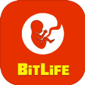 生命模拟器BitLife v3.6.1 中文版下载