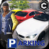 Real Parking v1.2 下载