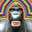 Flappy Gorilla v0.1 游戏