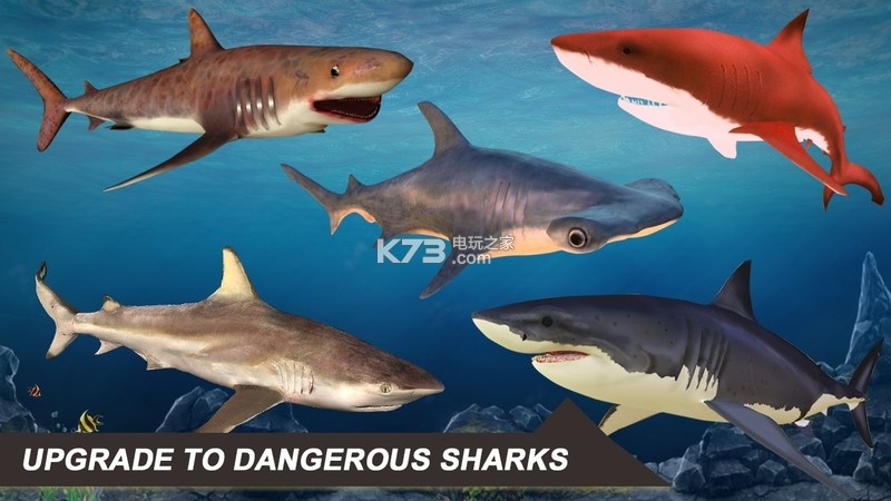 鲨鱼模拟器2018 v1.3 安卓版下载 截图