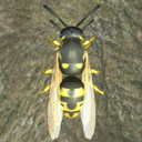 大黄蜂模拟器 v1.4.3 游戏下载