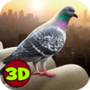 城市鸽子模拟器 v2.5.2 游戏下载