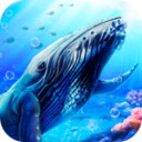 蓝鲸海洋生物模拟3D v1.0.0 游戏下载