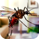 蚊子家庭生活模拟器3D v1.0.0 游戏下载