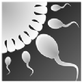 Sperm Simulator v1.2.6 游戏下载