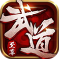 武道至尊变态版下载