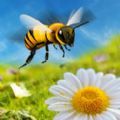 美味蜜蜂 v1.8.0.0 游戏下载