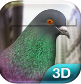Pigeon Simulator v1.2 手游下载