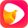 鸽迷 v1.2.9 app下载