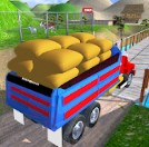 貨物印度人卡車3D v1.0 安卓版