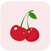 樱桃直聘 v1.0.0 app