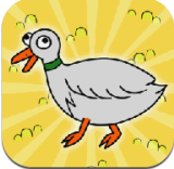 鸭子的日常 v1.3 安卓版