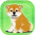 养育柴犬的治愈 v2.6 破解版