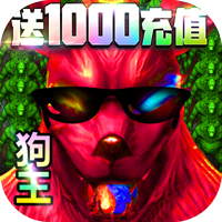 龙魂大陆 v1.0.0 送1000充值卡版