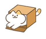 进来吧猫咪纸箱 v1.0.4 游戏