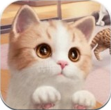 Project Cat v1.0 手游