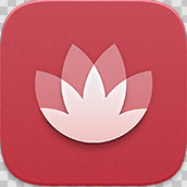 花粉俱乐部 v10.0.11.300 app
