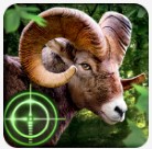 野生猎人3d v1.0.9 游戏