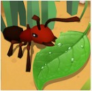 蚂蚁进化3d v1.3 内购免广告版
