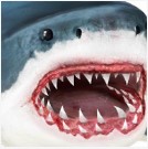终极鲨鱼攻击3D v1.0.3 游戏