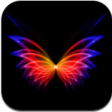 飞花动态壁纸 v3.3.0 app安卓版