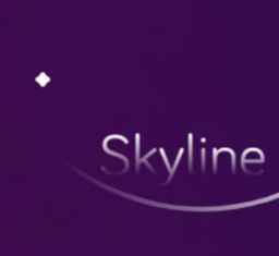 skyline模拟器 v0.0.3-1632 app
