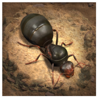 小小蟻國下載v1.31.0